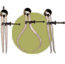 Spring Callipers and Dividers