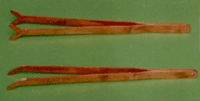 Copper Tong